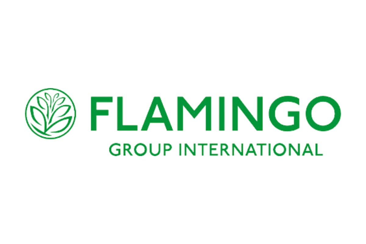 Flamingo Group International